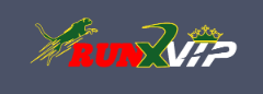 Discover the Thrills of Runx Bet - Your Ultimate Betting Destination